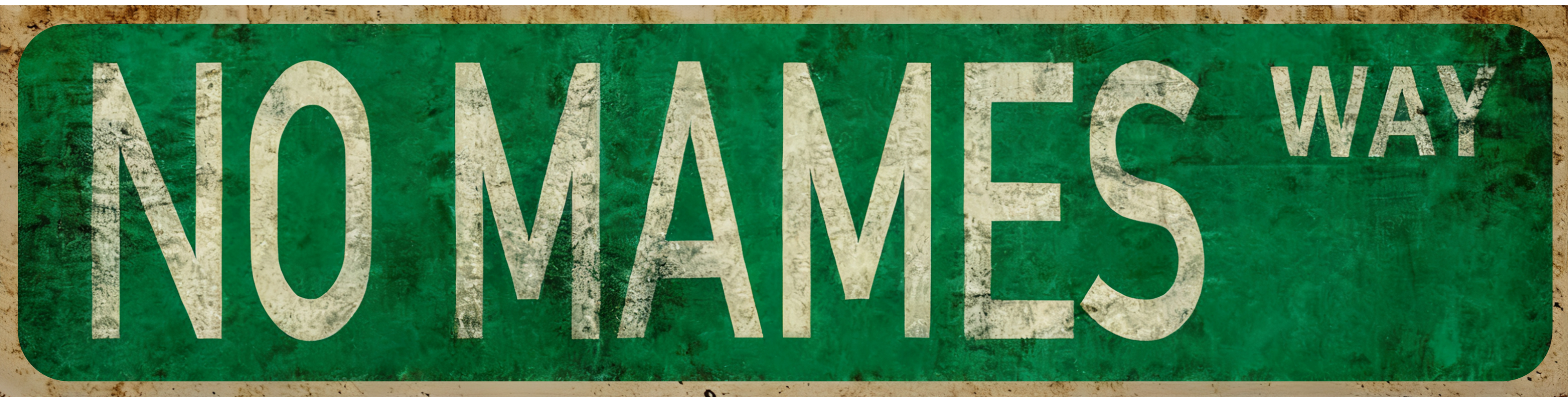 2D Flat-Print “No Mames Way” Green Street metal Sign with Autumn Leaves - Garden Decor & Outdoor Wall Art | Humorous & Personalized Gift for Friends & Family | Autumn Fence Decoration & Yard Sign