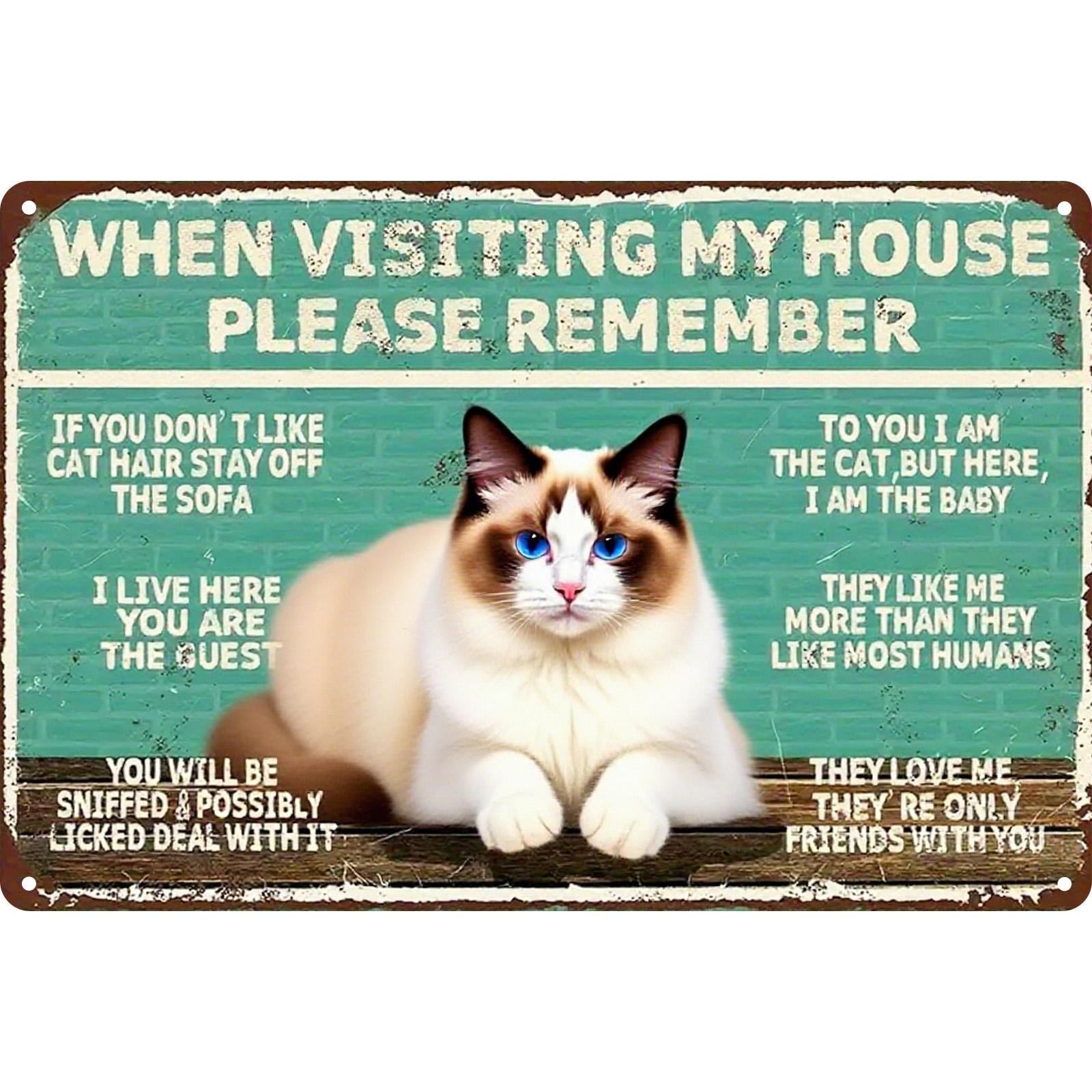 Funny Cat Rules Metal Sign: Vintage-Style Pet Lover Wall Decor