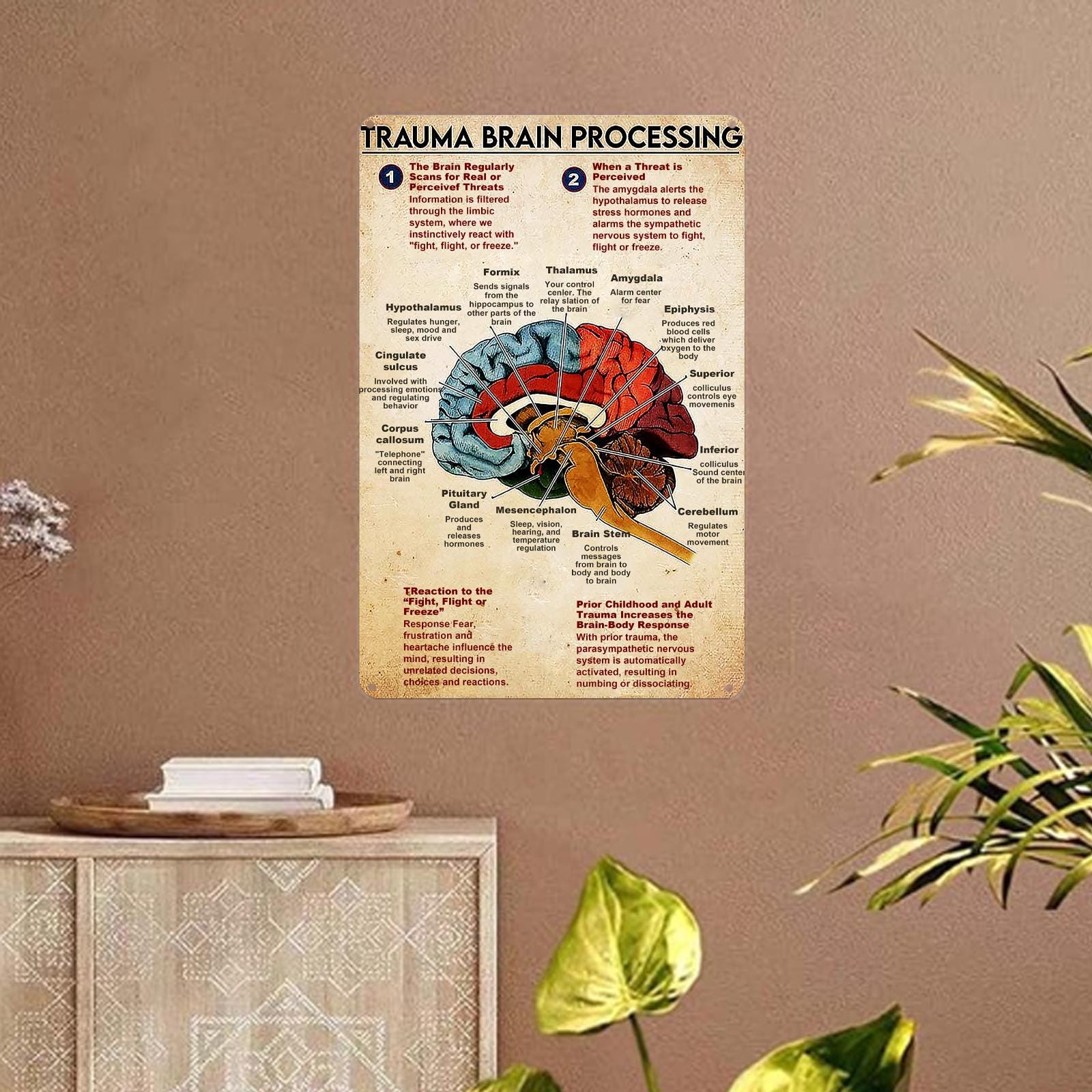 Trauma Brain Processing Anatomy Metal Sign: Vintage Clinic Office Decor