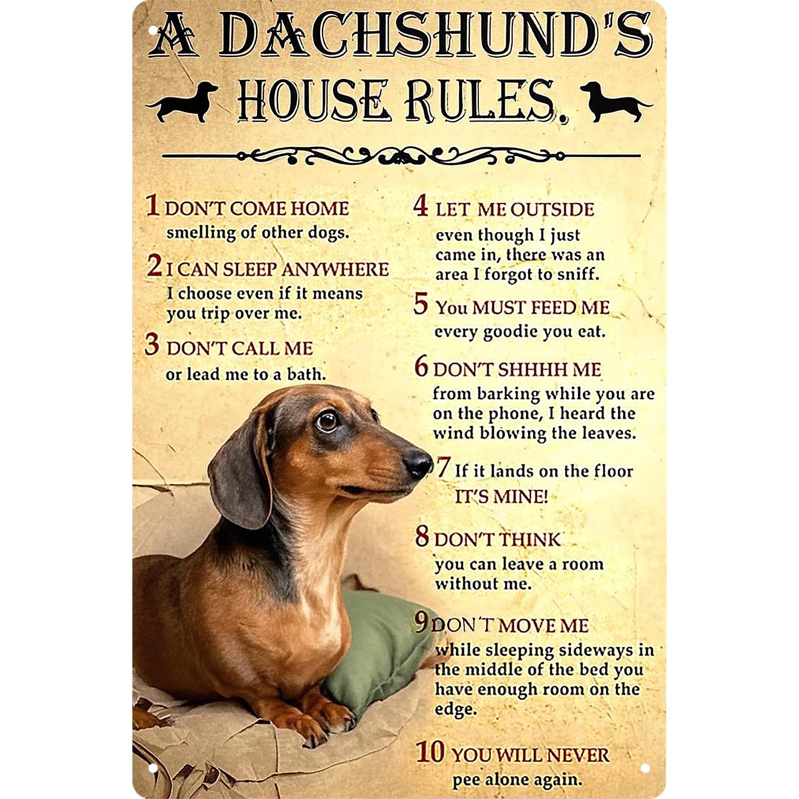 Funny Dachshund House Rules Metal Sign: Vintage Dog Lover Decor
