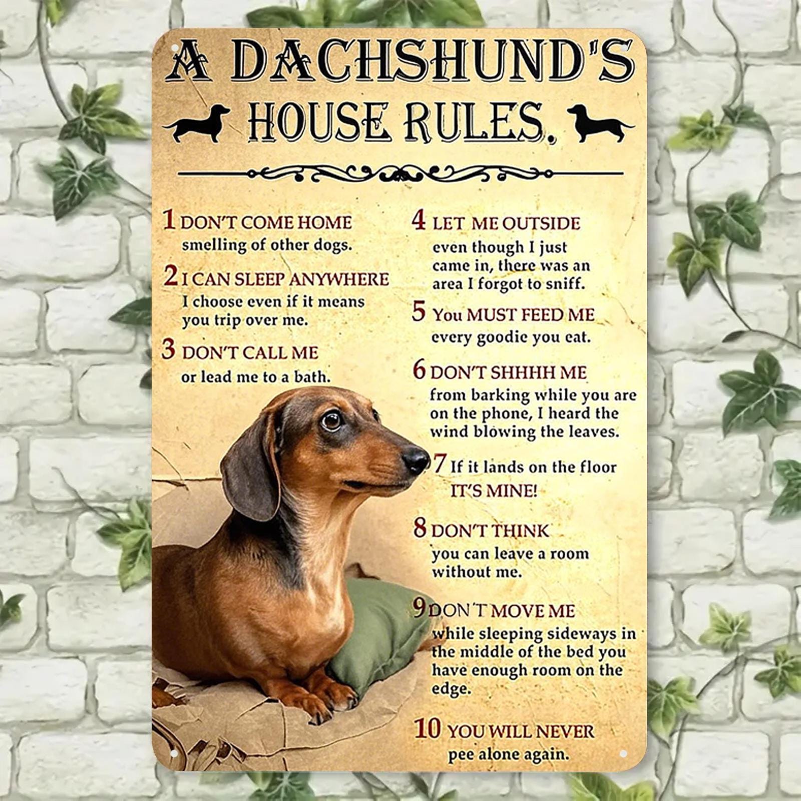 Funny Dachshund House Rules Metal Sign: Vintage Dog Lover Decor