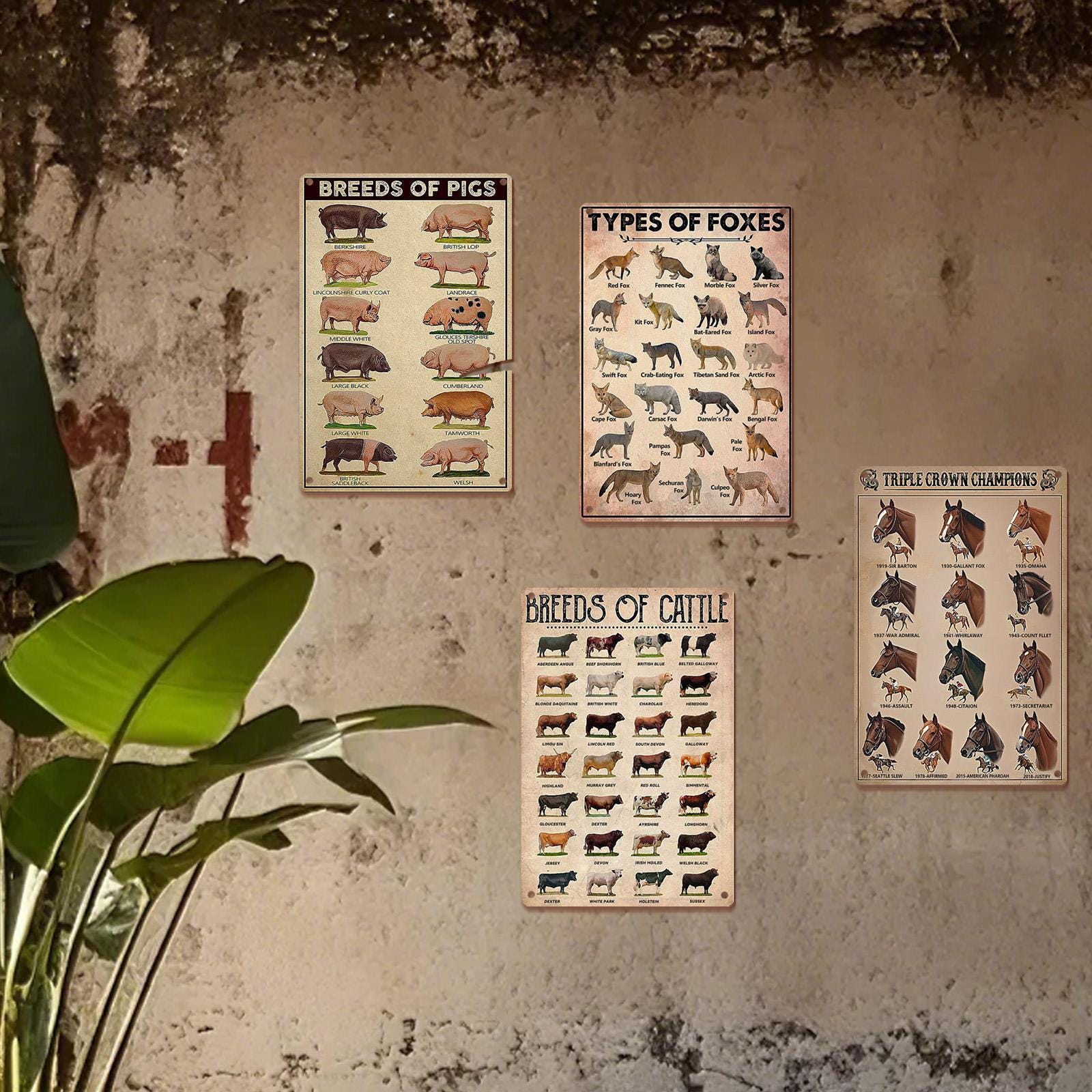 Vintage Bauernhoftier-Rassen Poster | Pädagogisches Blechschilder-Set