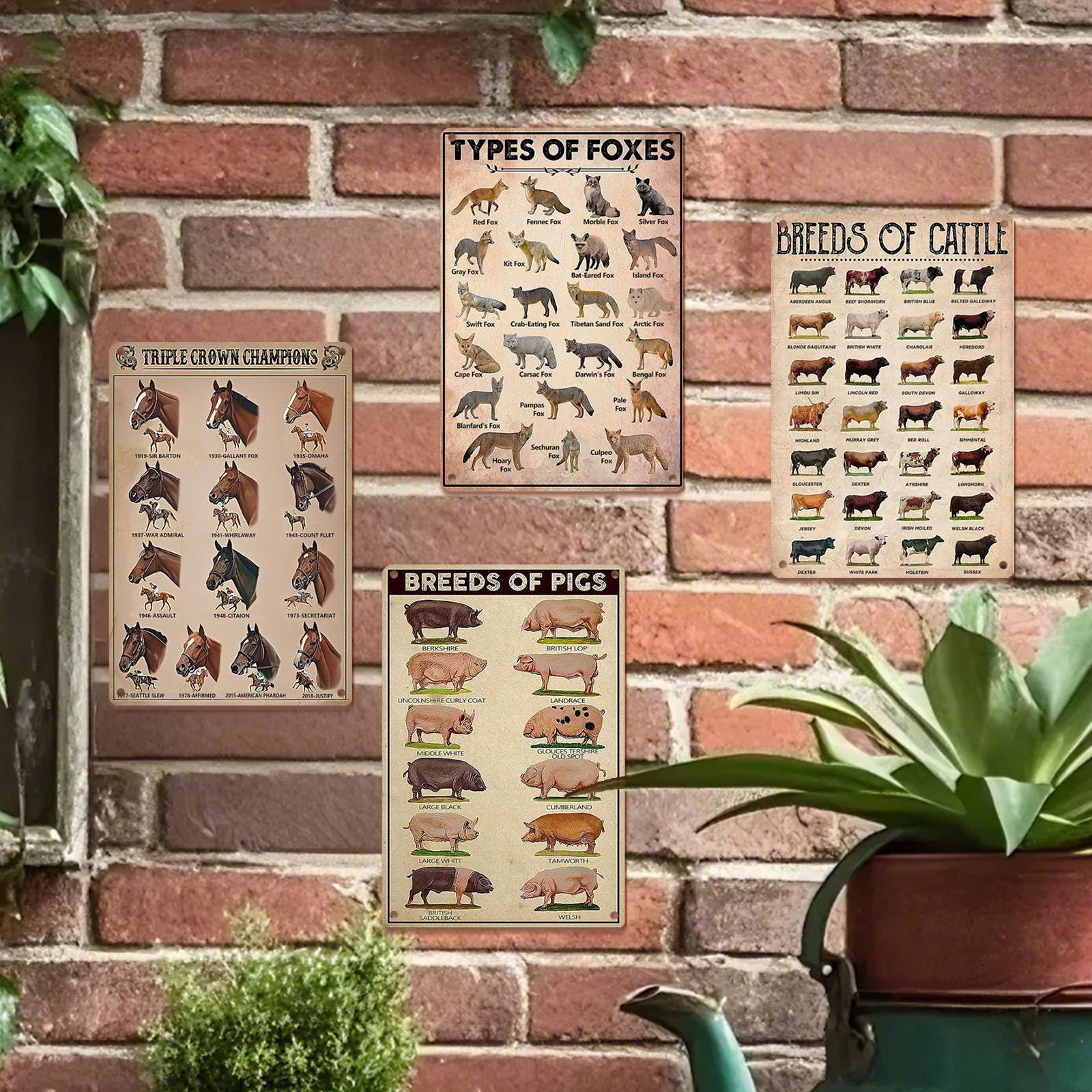 Vintage Bauernhoftier-Rassen Poster | Pädagogisches Blechschilder-Set
