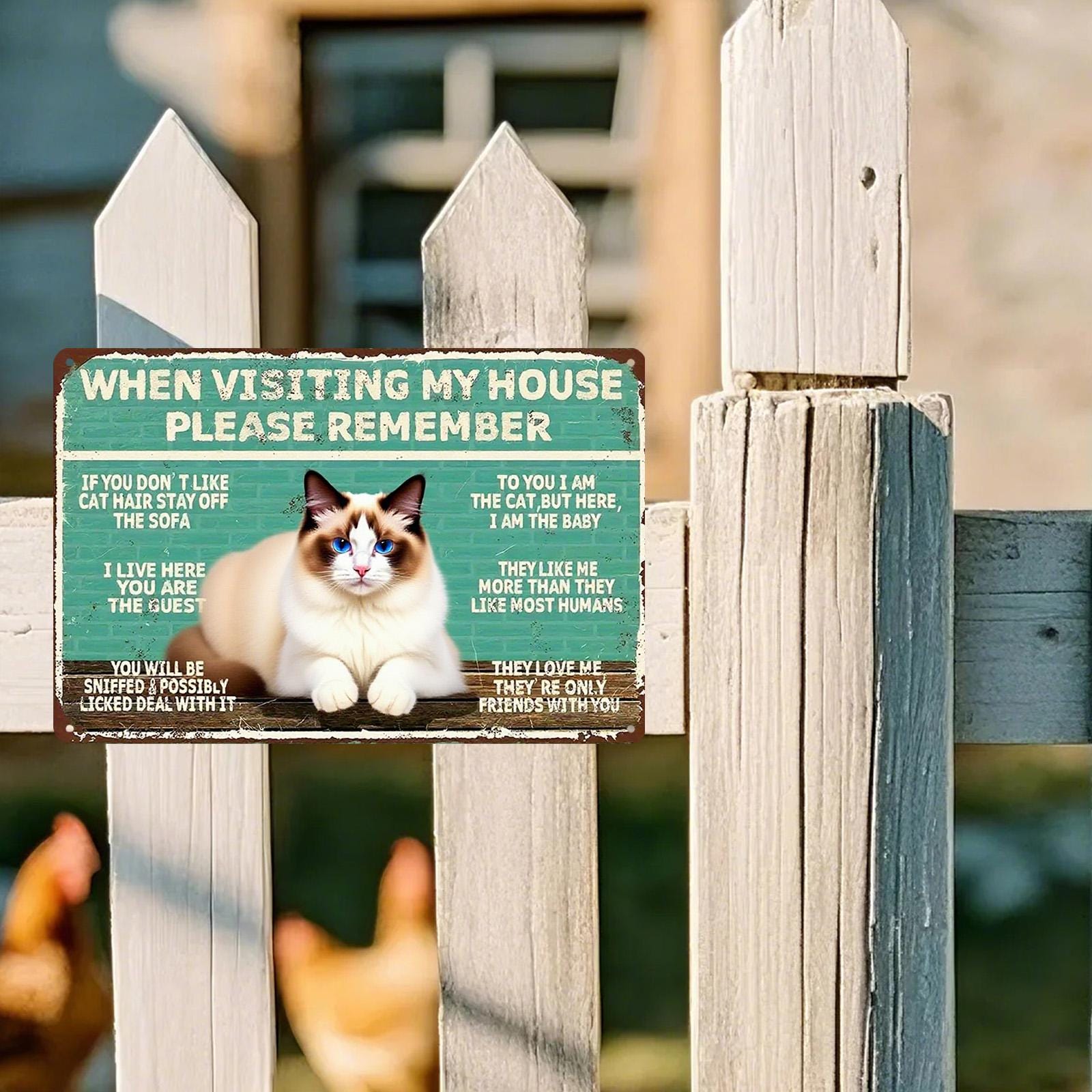 Funny Cat Rules Metal Sign: Vintage-Style Pet Lover Wall Decor