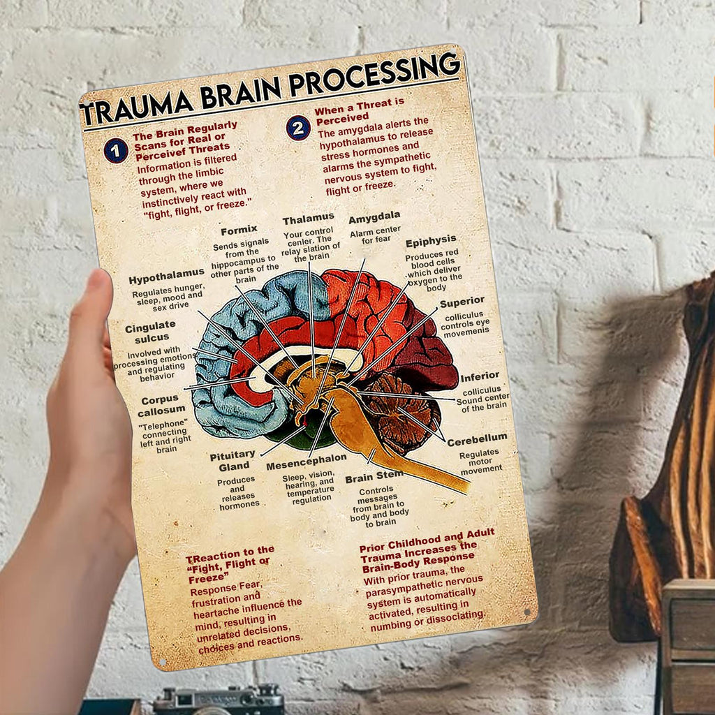 Enseigne métallique anatomie du traitement du cerveau traumatique | Décoration de bureau de clinique vintage