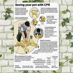 Panneau métallique de réanimation cardio-pulmonaire vintage pour animaux de compagnie | Instructions de premiers secours pour chiens et chats