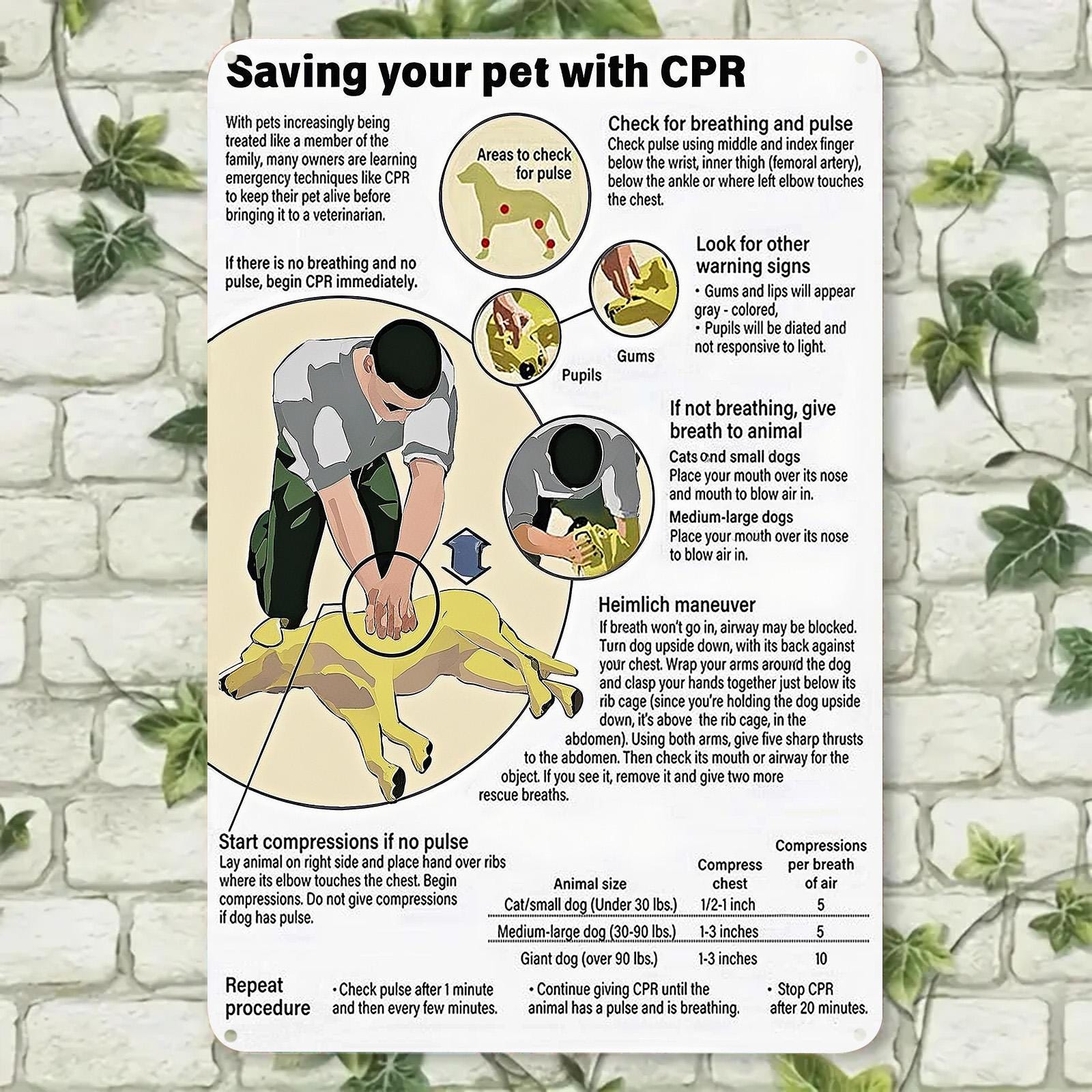Panneau métallique de réanimation cardio-pulmonaire vintage pour animaux de compagnie | Instructions de premiers secours pour chiens et chats