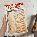 Pancarte Métal Vintage Anatomie Nerfs Spinaux | Décoration Clinique Chiropratique