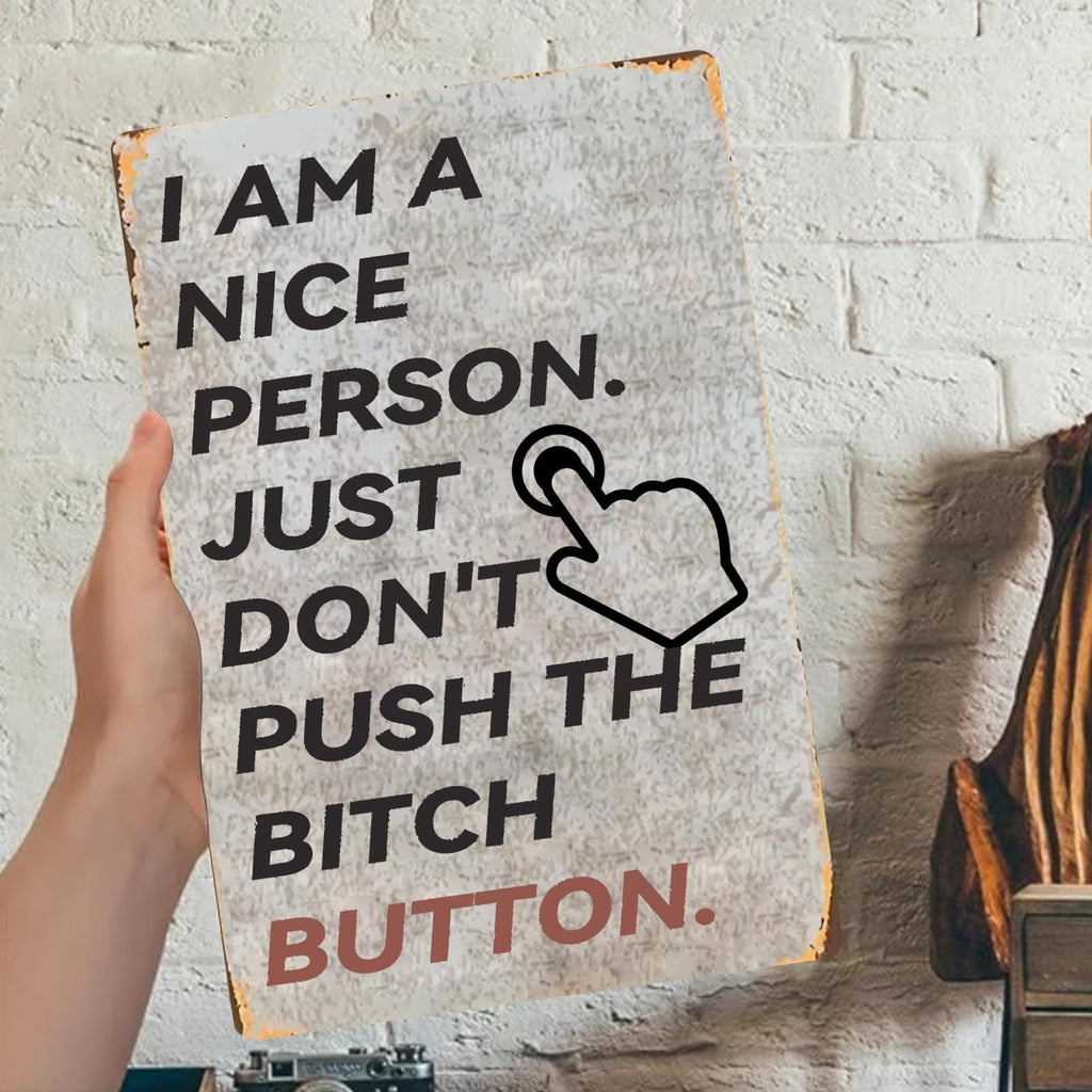 Funny Sarcastic Metal Sign: "I'm a Nice Person..." Humor Wall Art