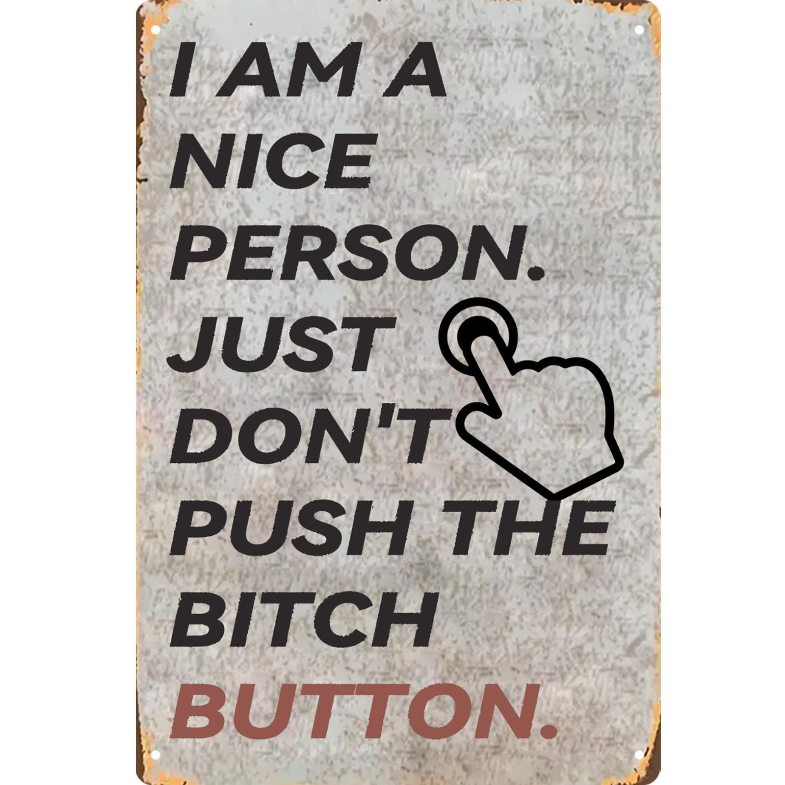 Funny Sarcastic Metal Sign: "I'm a Nice Person..." Humor Wall Art
