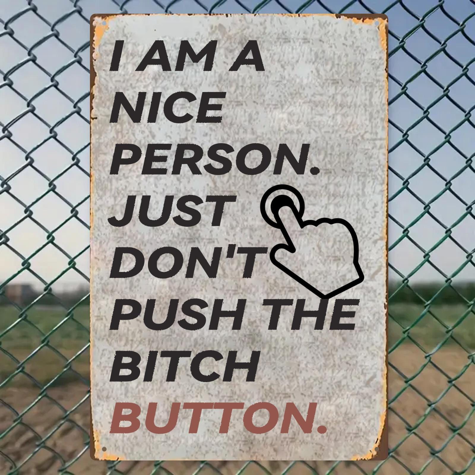 Funny Sarcastic Metal Sign: "I'm a Nice Person..." Humor Wall Art