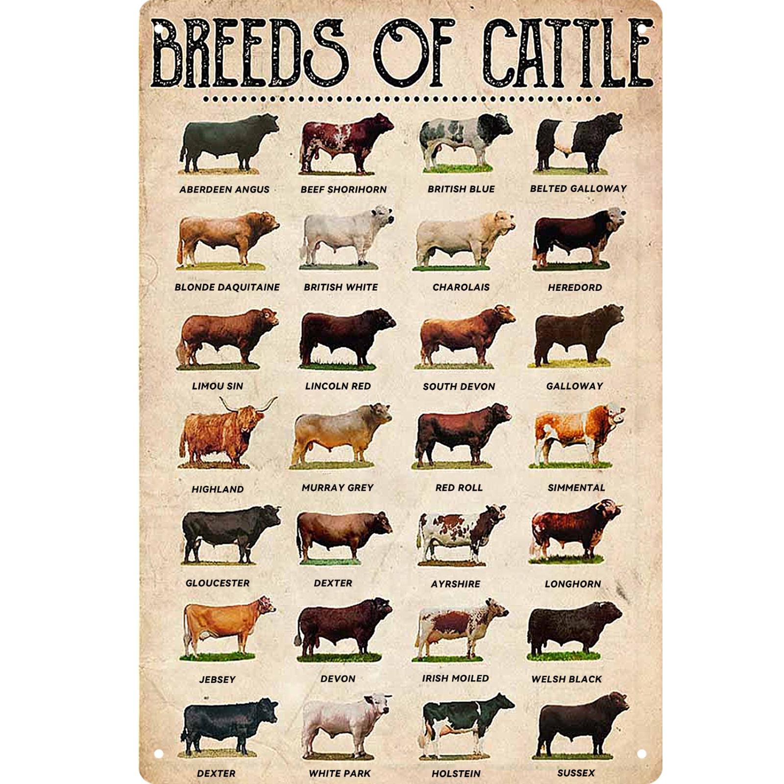 Deer Hunting Metal Sign: Rustic Lodge Cabin Wall Decor