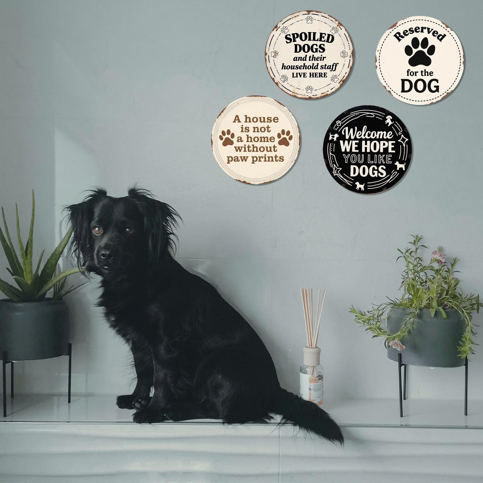 Dog Lover Tin Sign: Paw Print, Dog Quotes, Home Decor (8x8 Inch)