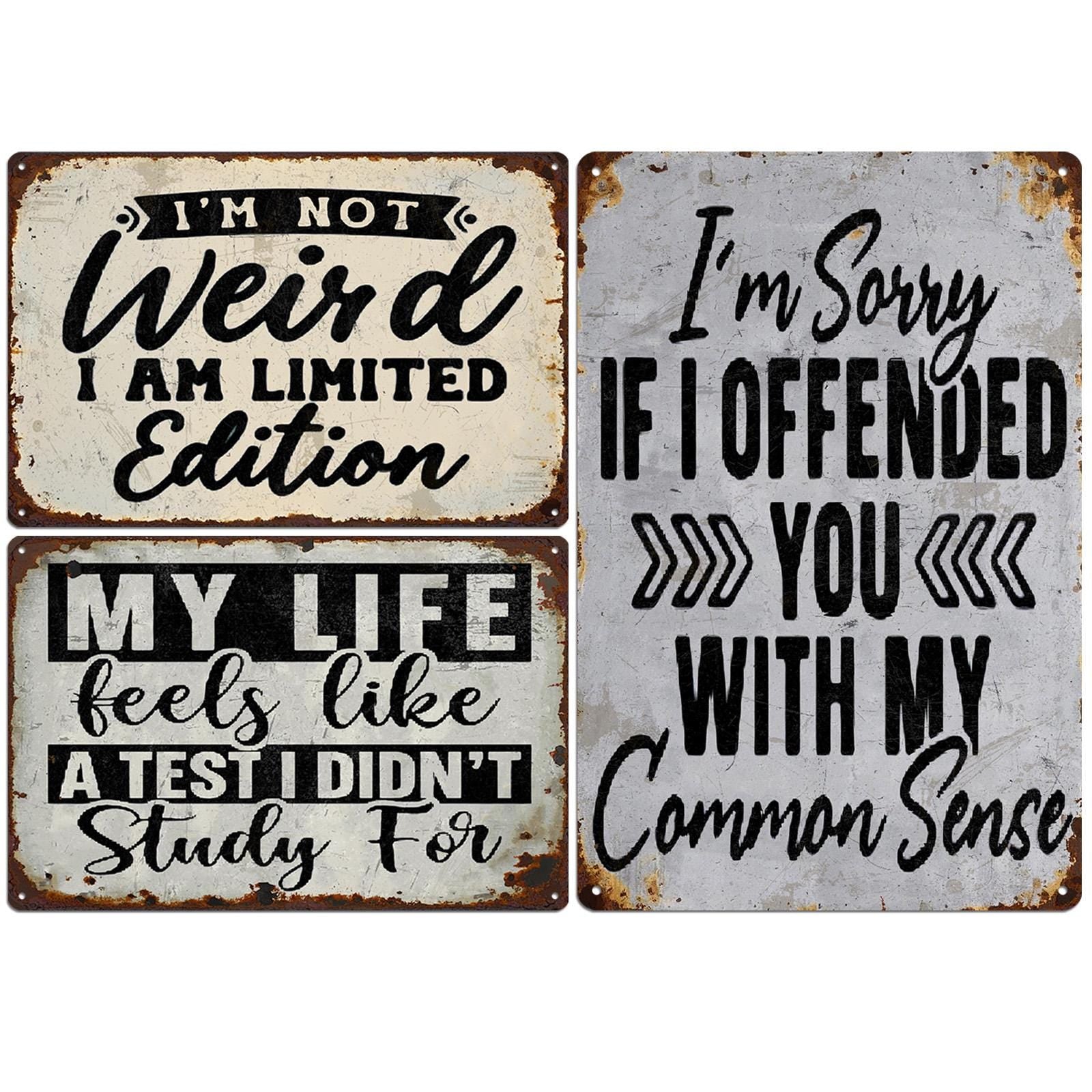 Funny Quote Metal Wall Sign Set, Vintage Style Tin Art, 8x12