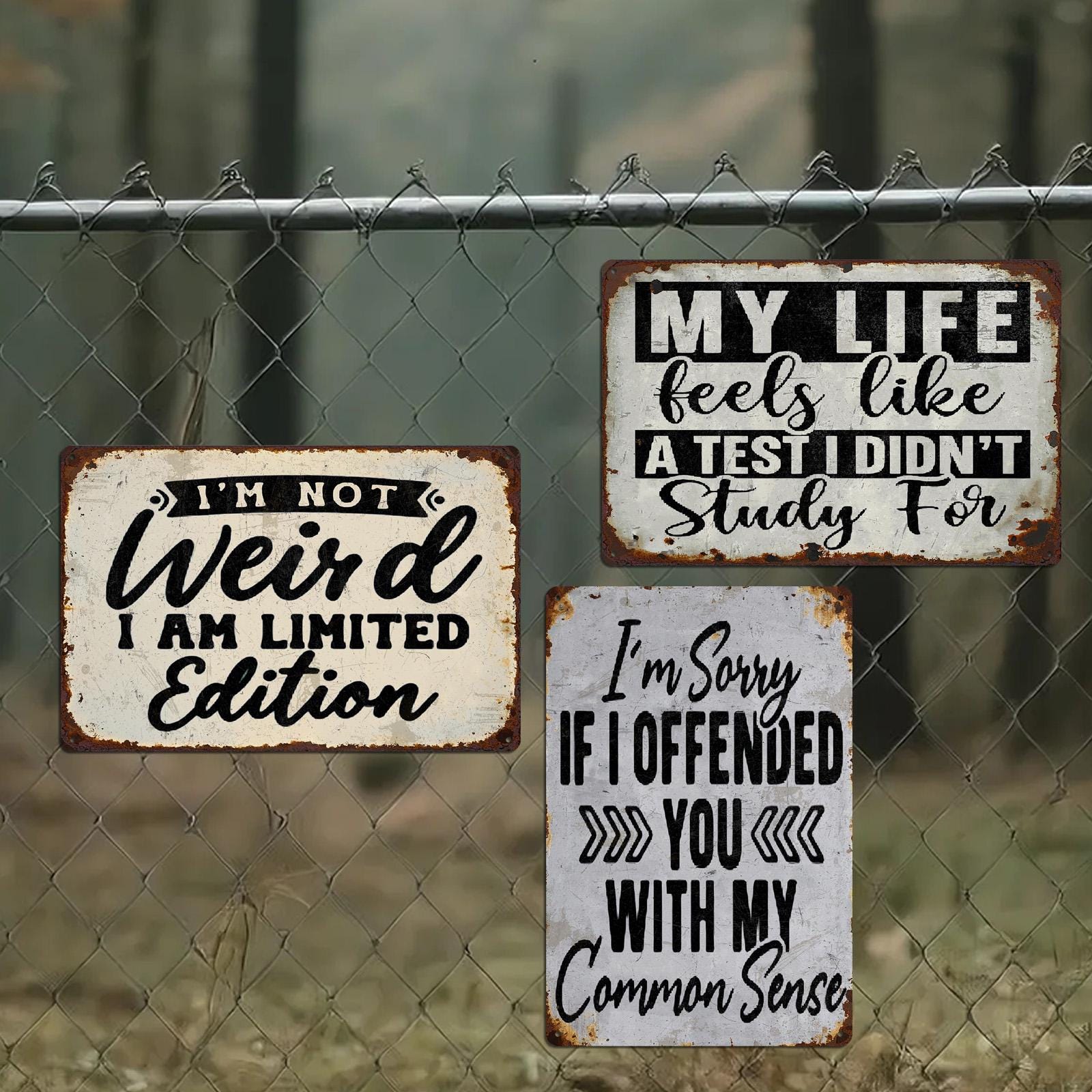 Funny Quote Metal Wall Sign Set, Vintage Style Tin Art, 8x12