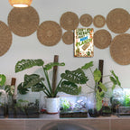I Don’t Need Therapy I Just Need More Plants Panneau en étain Décoration murale amusante pour le jardinage, Plante…