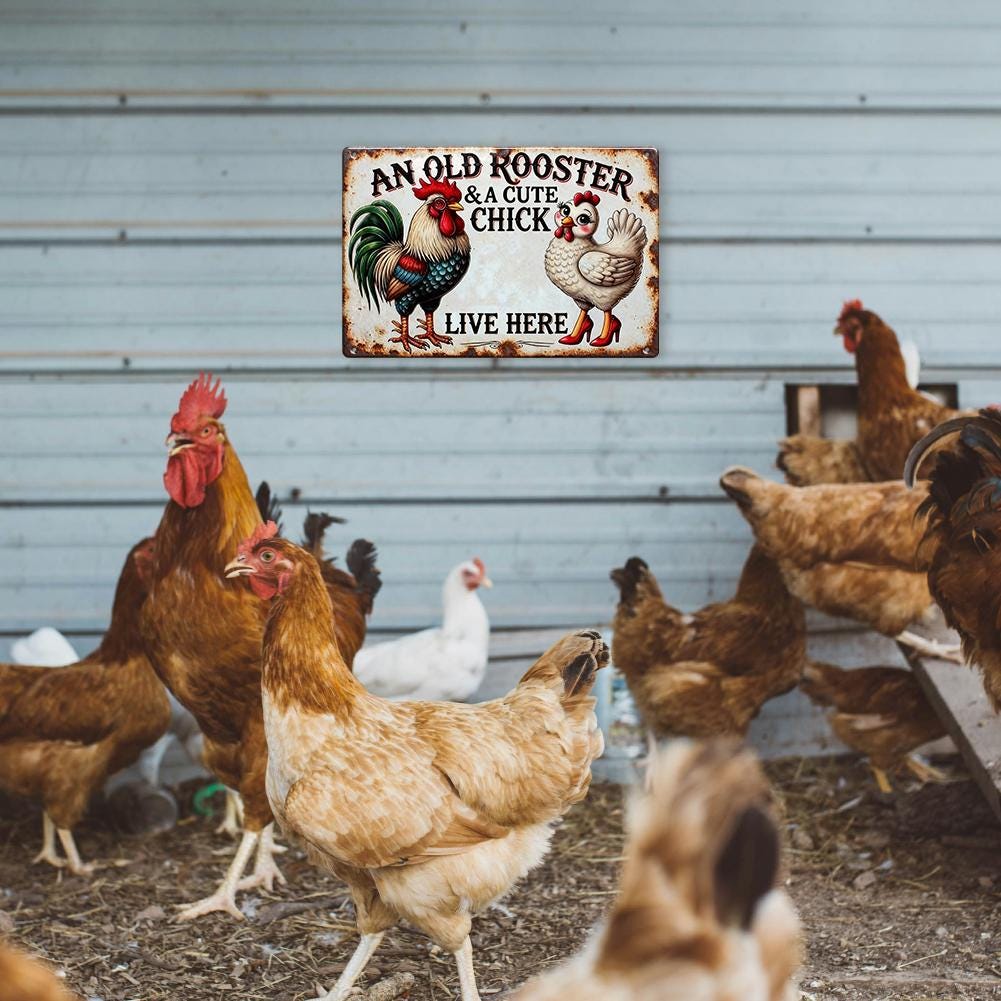 Farmhouse Rustic Metal Sign with Rooster and Chick Design - "An Old Rooster and a Cute Chick Live Here" for Kitchen or Barn Wall